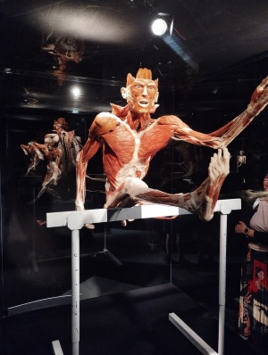 Body Worlds